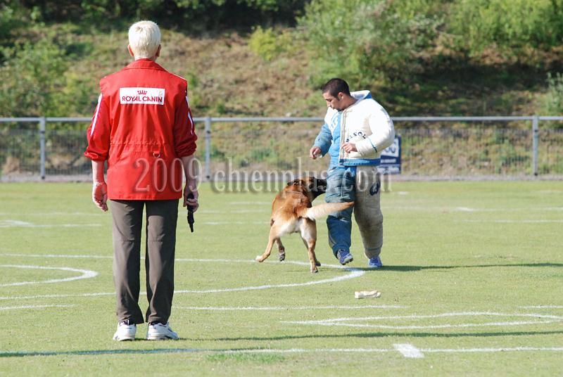 3 EME SELECTIF 2009 GRANDE SYNTHE 349.jpg